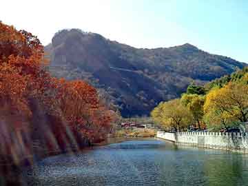 正版澳门天天开彩大全，水姿泉肠道水疗仪